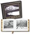 Ansel Adams At 100