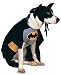 Search : Batman Dog S/Mall