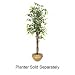 NuDell 6ft Artificial Green Ficus Tree