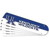 16.5 TeamFanz Collegiate Ceiling Team: Kentucky