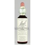 Bach Essence Red Chestnut 20 Milliliters