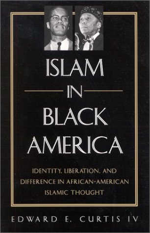 Islam in Black America: Identity, Liberation and Difference in African-American Islamic Thought under Black Theology in The Books Store