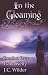 In the Gloaming