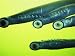 Lamprey Eels Clinging to Glass at the Bonneville Dam on the Columbia River Photographic Poster Print, 18x24
