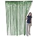 Green Metallic Fringe Door Curtain Party Decor 3' x 8'