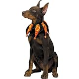 Dog Jester Collar Pet Costume