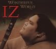 Wonderful World Wonderful World