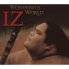 Wonderful World Wonderful World