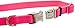 Coastal Pet K9 Explorer Reflective Dog Leash with Scissor Snap - Durable Nylon Dog Leash - Leashes for Dogs & Puppies Pet Supplies for Dogs - Berry, 5/8