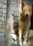Dog, Passing Through