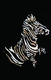 Zebra 20x30 poster