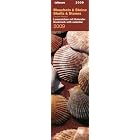 2009 Shells and Stones Bookmark Calendar by  Laurent Pinsard
