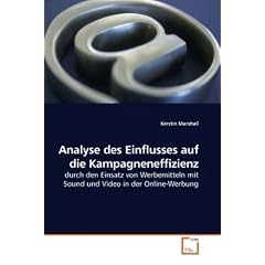 Analyse des Einflusses auf die Kampagneneffizienz: durch den Einsatz von Werbemitteln mit Sound und Video in der Online-Werbung