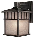 Dolan Designs 9110-68 Barton - One Light Outdoor Wall Mount, Winchester