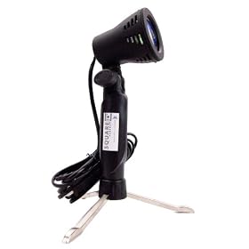 50 Watt 3000K Tungsten Photo Lamp with Bulb Photo Studio in a Box Replacement