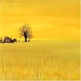 Jaune 35 Ans (Dvd)