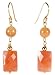 Gold Plated Sterling Silver Orange Chalcedony with Botswana Agate Earrings