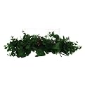 Smith & Hawken Eucalyptus Centerpiece with Votives - 20"