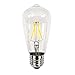 Newhouse Lighting 3.5W Vintage LED Filament Light Bulb, ST64 Edison Style, 2200K Warm White Color, E26 Medium Standard Base