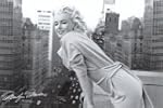 1art1 42262 Marilyn Monroe - Das verf...
