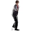 Advanced Graphics 1047 Harry Potter and the Deathly Hallows Cardboard Standup
