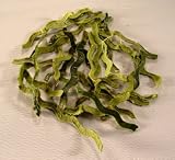 Organic Kuding Big Leaf by Generation Tea