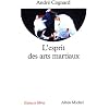 L'esprit des arts martiaux