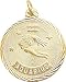 Aquarius Charm, Gold Plated Silver