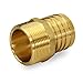 Everflow EPMA0012-NL 1/2 Inch x 1/2 Inch Lead Free Brass Adapters PEX x MIP, Brass Construction, Compatible w/ PEX Piping, Low-Cost plumbing Connection, Durability & Reliability, Easy to Install