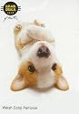 Hanadeka Dog - Mini Puzzle - Welsh Corgi (Lying)