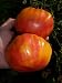 Armenian Tomato 5 Seeds