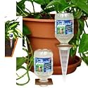 DirectRoot Gel Spike - Irrigation for the Gardener with House Plants