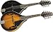 Johnson Mandolin A-Style with F Holes Sunburst