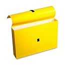 Wilson Jones ColorLife File Wallets with Velcro Grippers, 3.5 Inch Expansion, 10 x 15 Inches, Yellow, 10 Wallets Per Box (WCC722-4Y)