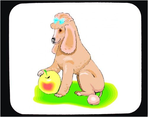 image link -  - B000RLIROS