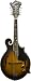 Washburn Package Program M3EK F Mandolin Pack, Tobacco Sunburst