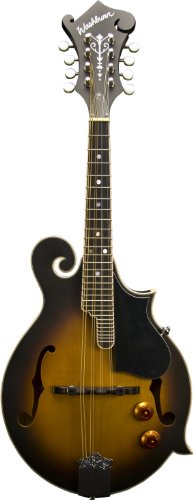 Washburn Package Program M3EK Tobacco Sunburst
