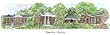 Hampden/Sydney University - Collegiate Sculptured Ornament