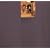 Dutch Painting (Phaidon Colour Library)