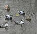 Mega Shaker Duck Shaker for Decoys Image