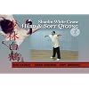 Shaolin White Crane: Hard and Soft Qigong