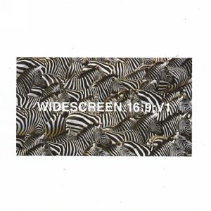 CD-Charts  Search : Widescreen