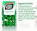 Gourmet Food : Tic Tac Spearmint Mints 24 Packs