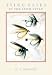 Book Tying Flies in the Irish Style