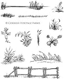 Grasses Scene It! Cling Mounted Red Rubber Stamp Set