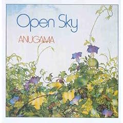 Open Sky