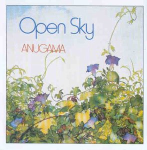 Produkt-Bild: Open Sky