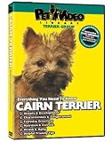 Cairn Terrier DVD - Everything You Should Know About Your Dog