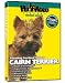   - Cairn Terrier DVD - Everything You Should Know About Your Dog