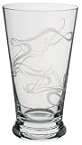 Dartington Crystal LLB Ember 5-3/4 Inch Tall Tumbler, Set of 2